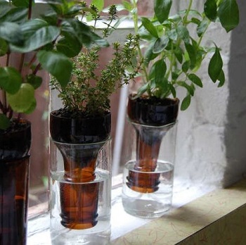 Bottle gardens for your herb garden Crafting DIY Self-Watering Planters You Can Do