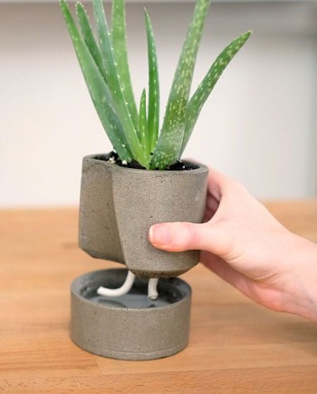 Self-watering concrete planter yes Crafting DIY Self-Watering Planters You Can Do