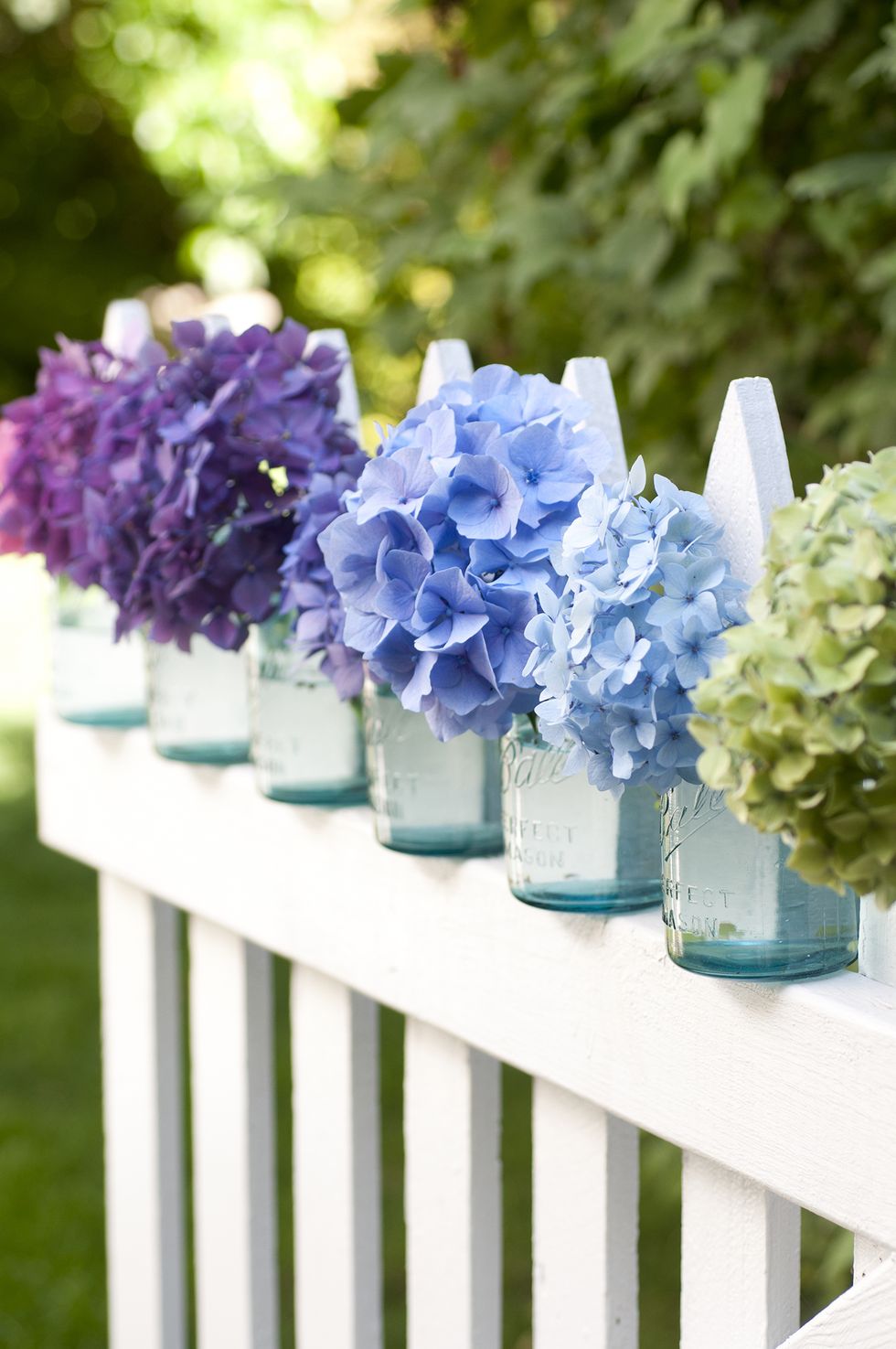 Fence-lined mason jars