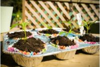 Diy cool repurposed muffin tin seed pots