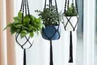 Diy macrame plant hangers