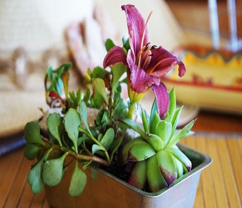 Mini cake pan floral décor Smart-Upgrade Repurposing Ideas Of Your Old Baking Pan