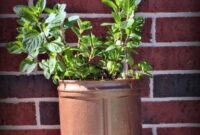 Upcycled coffee can planter