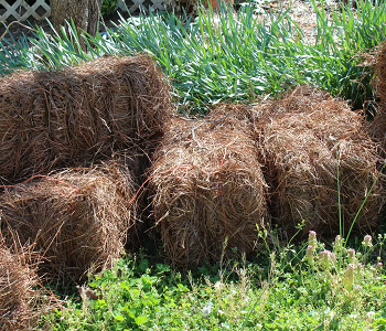 Straw bale compost bin DIY Compost Bin Plans You Can Do For Your Garden