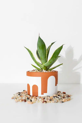 Simple abstract architecture planter Cheap And Cheerful DIY Pot Ideas For Your Planter