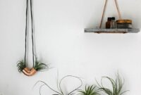 Diy minimal copper airplant holders