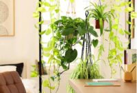 Diy plant room divider