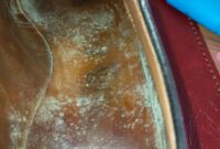 How to remove mold from leather