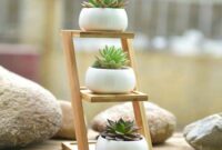 Triple succulents for indoor garden