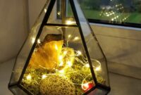 Diy terrarium with moss