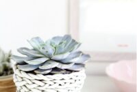 Diy plaited planter from clay