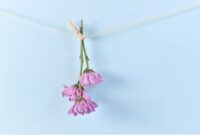 Flowers drying with hanging technique