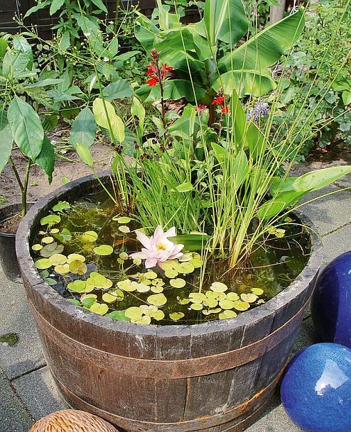 45 DIY Pond Ideas from Upcycled Items - GODIYGO.COM