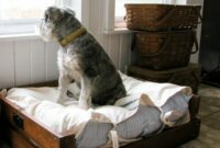Diy easy rustic dog bed