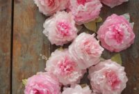 Peony coffee filter flowers